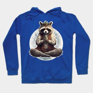 Yoga meditation racoon mandala Hoodie